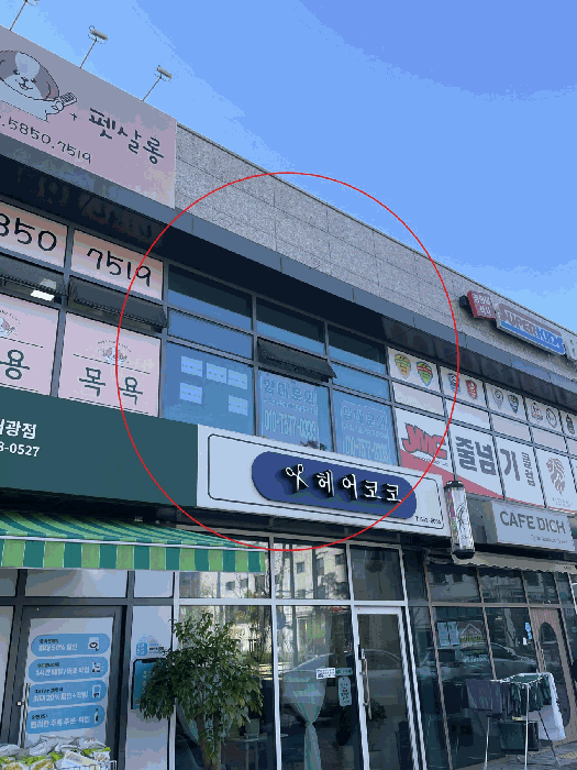 사진 6