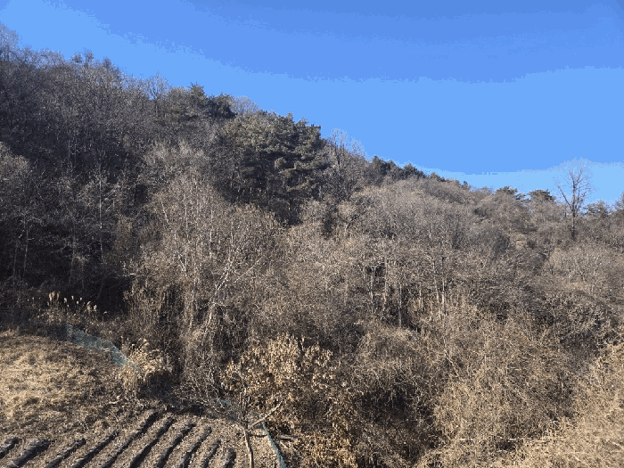 사진 6