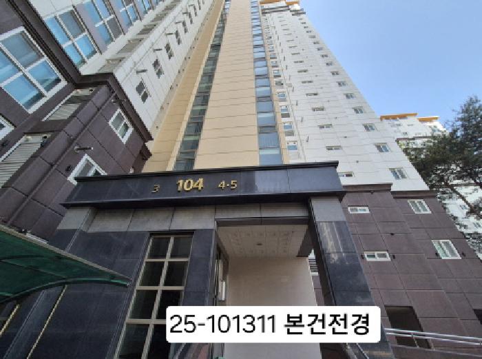 사진 12