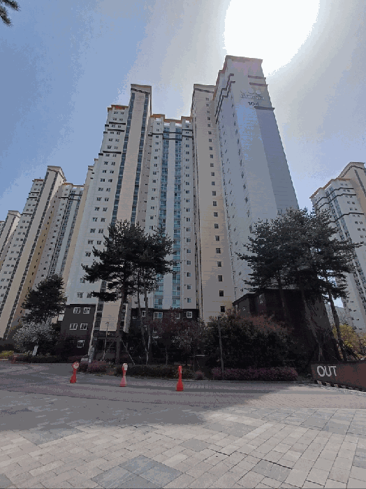 사진 8