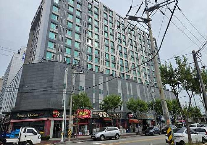 사진 10