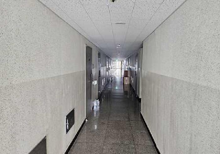 사진 14