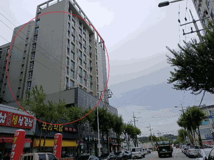 사진 6
