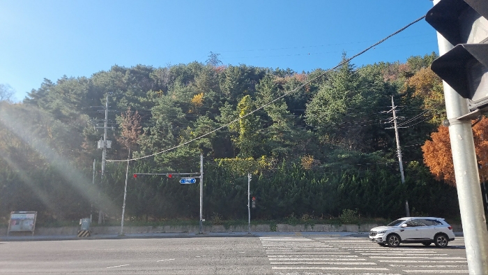 사진 1