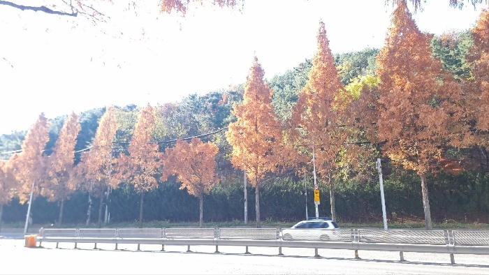 사진 2