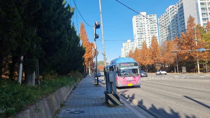 사진 3