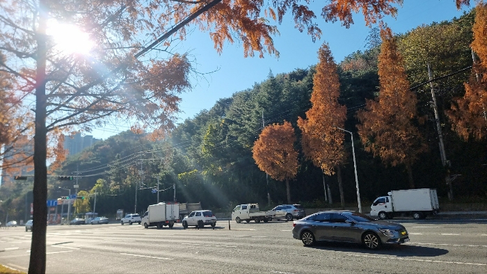사진 4