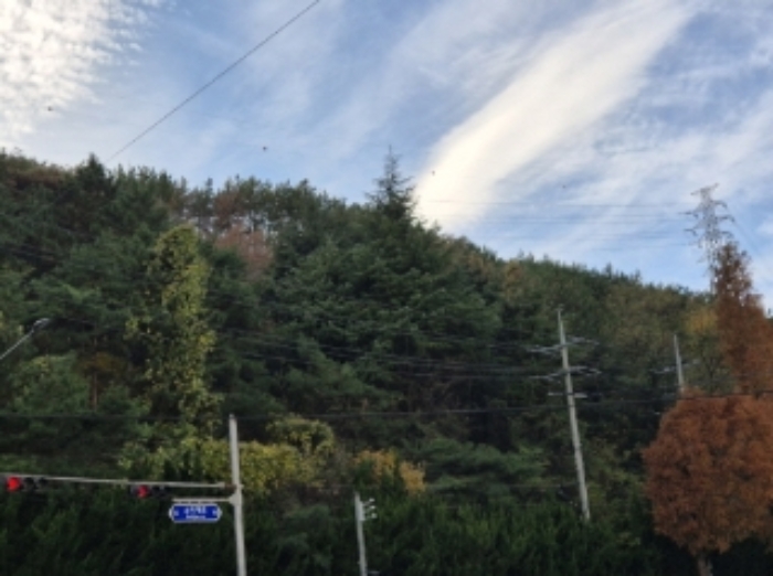 사진 7