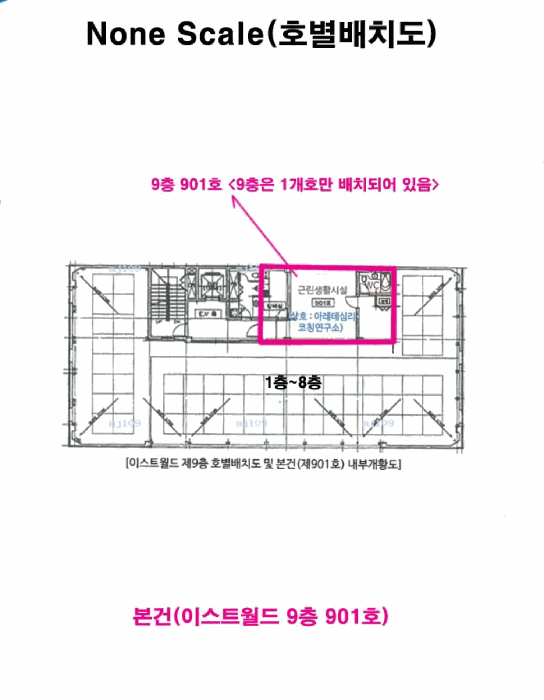 사진 5