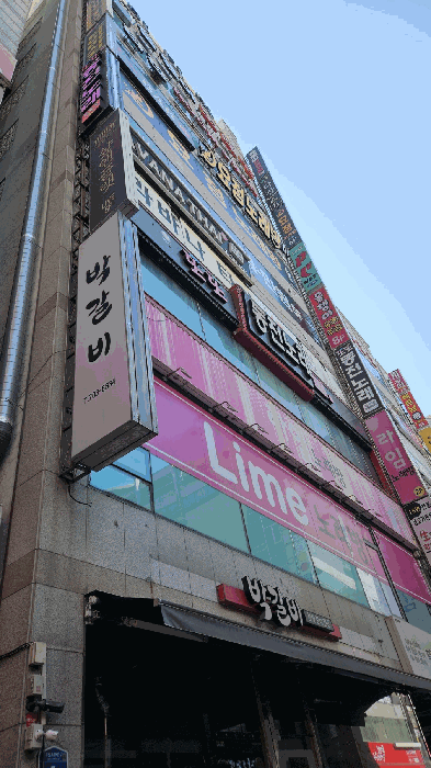 사진 6