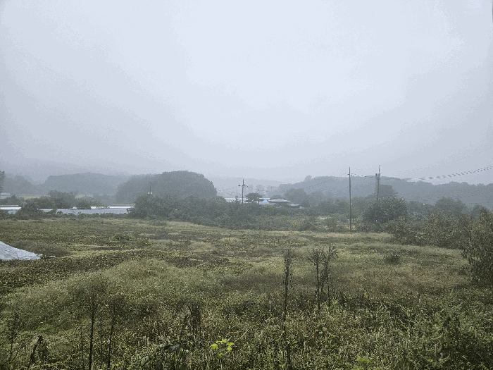사진 26