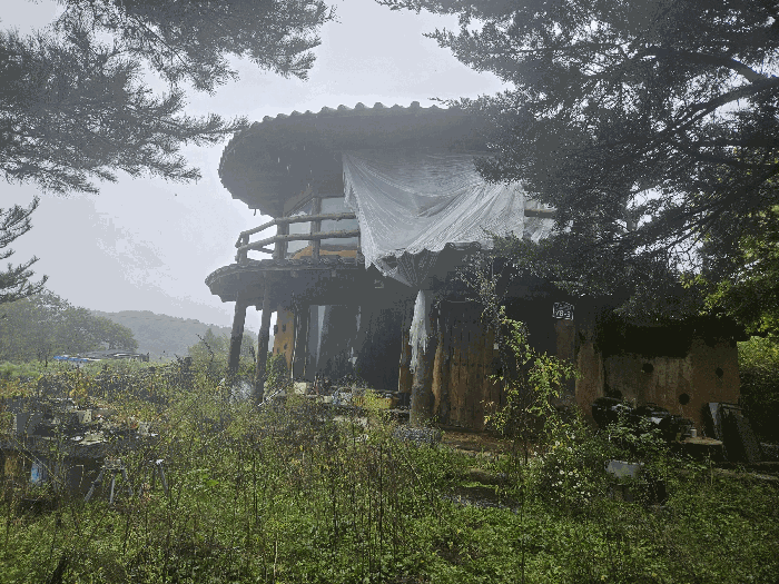 사진 35