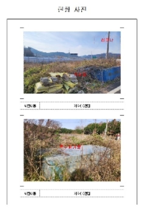 사진 3