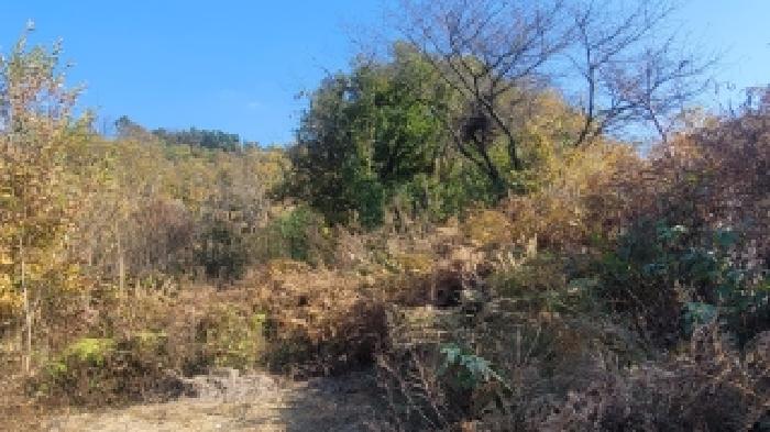 사진 6