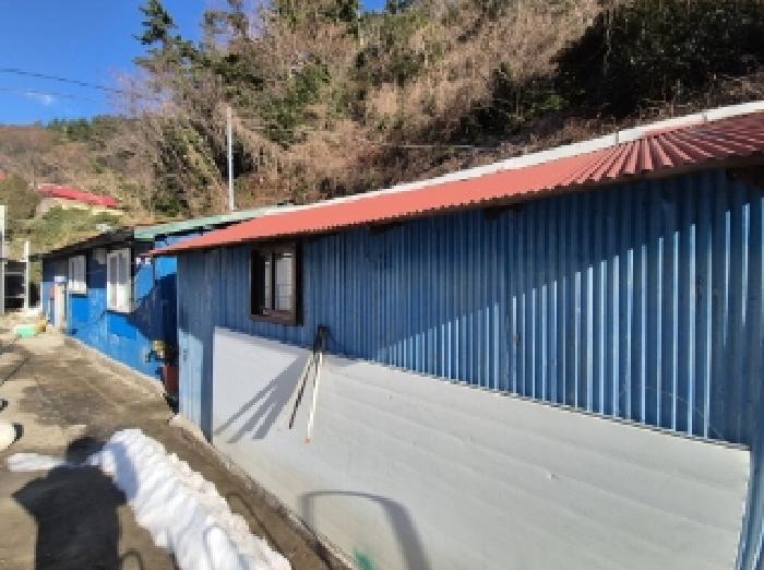 사진 3