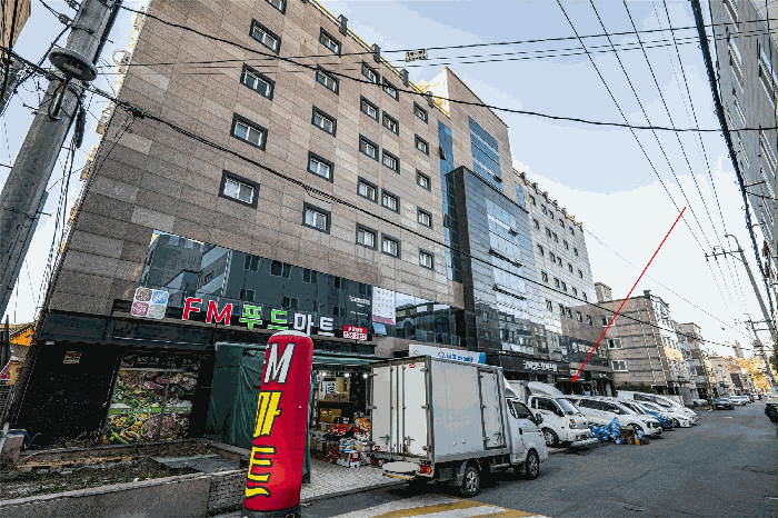 사진 10
