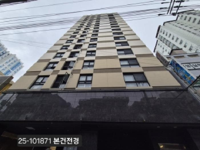 사진 2