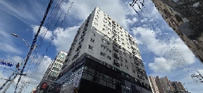 사진 10