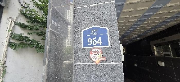 사진 7