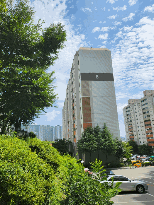 사진 10