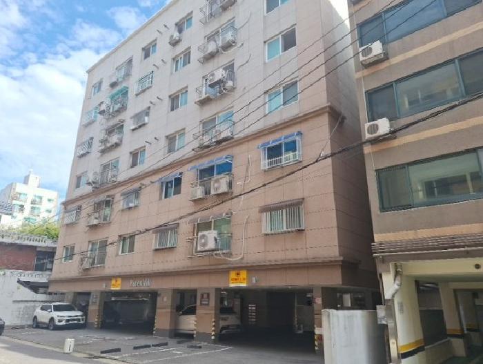사진 7