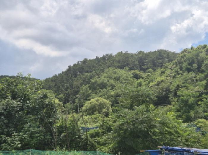 사진 10