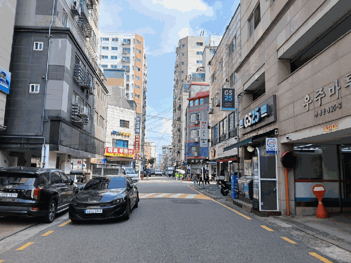 사진 10