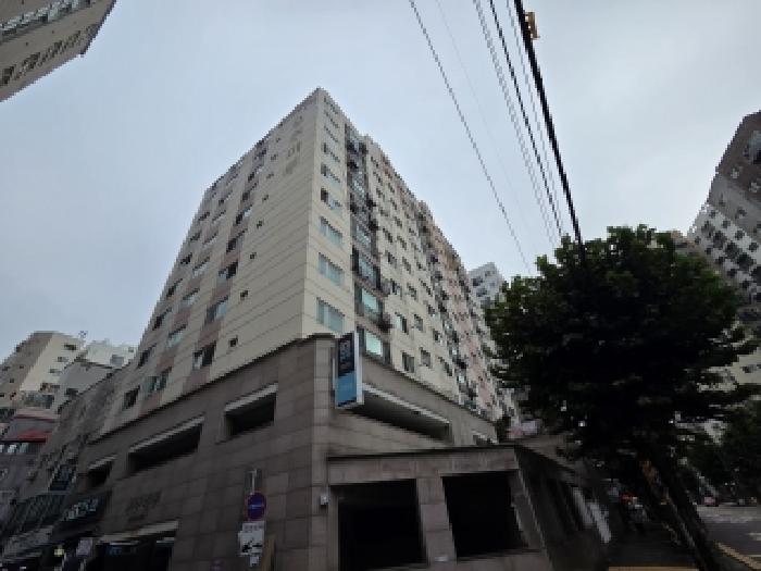 사진 11