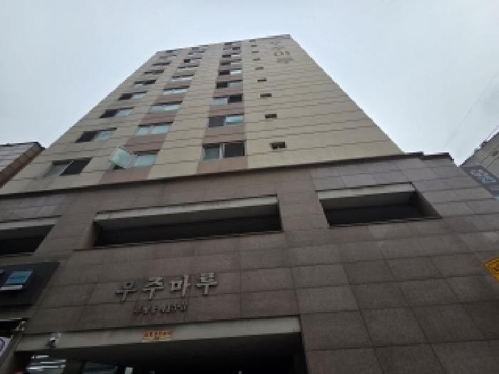 사진 12