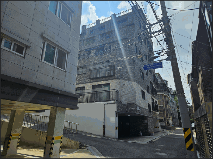 사진 10