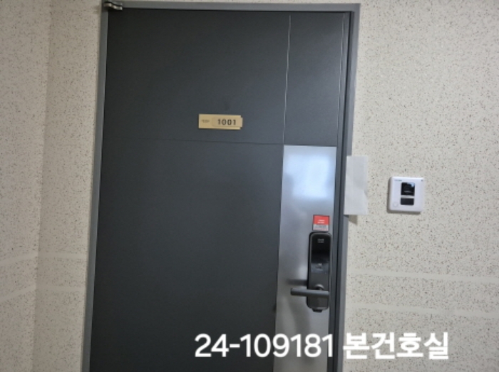 사진 15