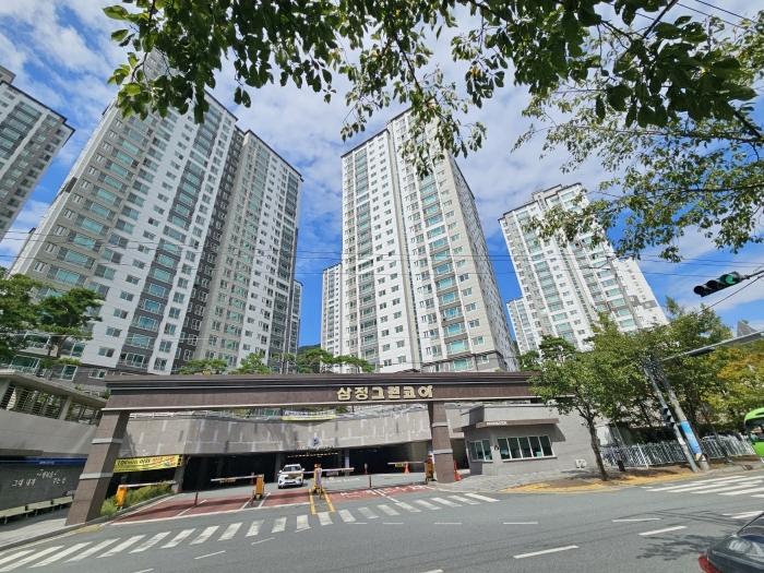 사진 5