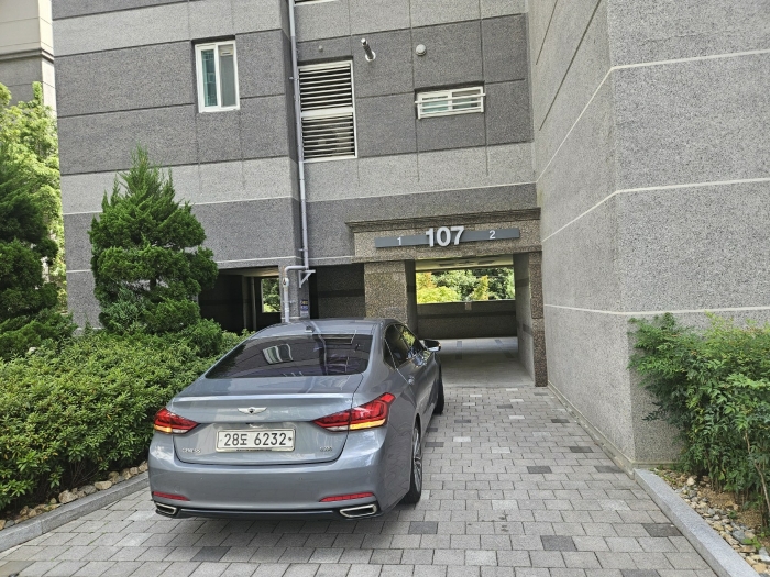 사진 6