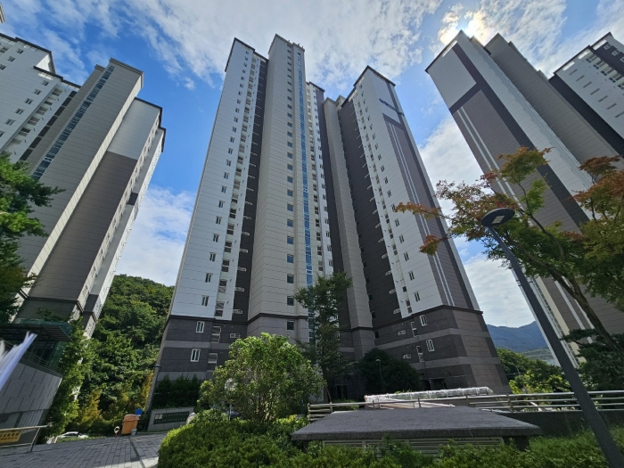사진 9