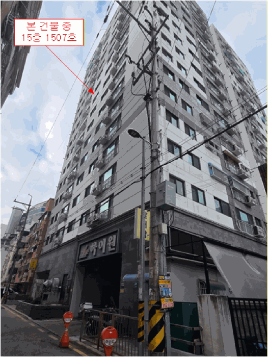 사진 10