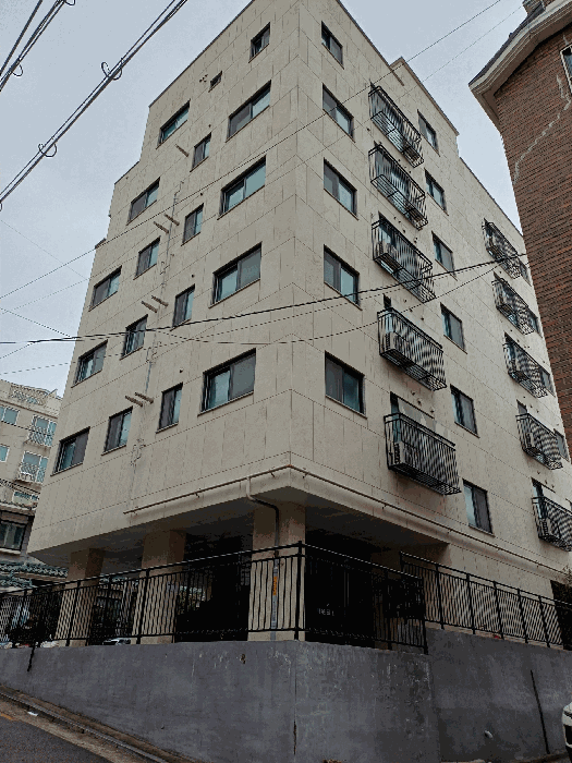 사진 11