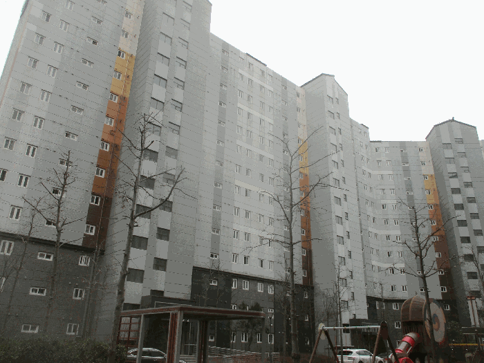 사진 8