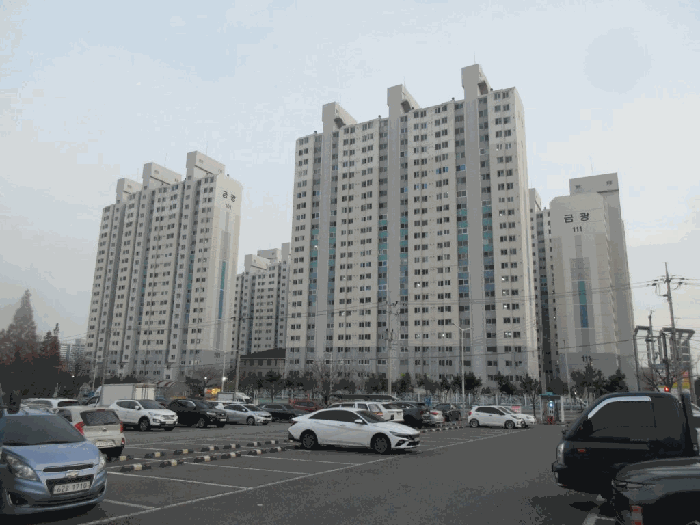 사진 5