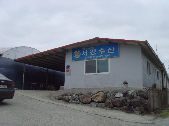 사진 17