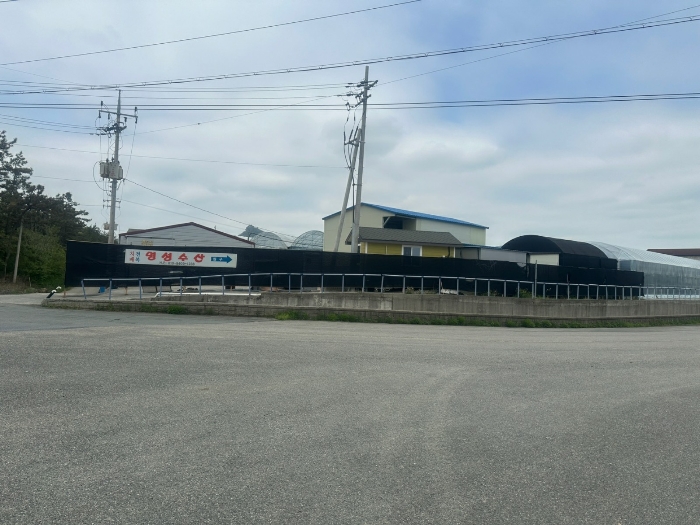 사진 48