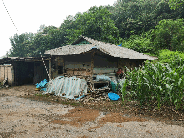 사진 12