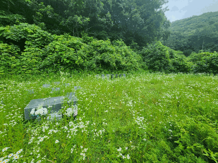 사진 6