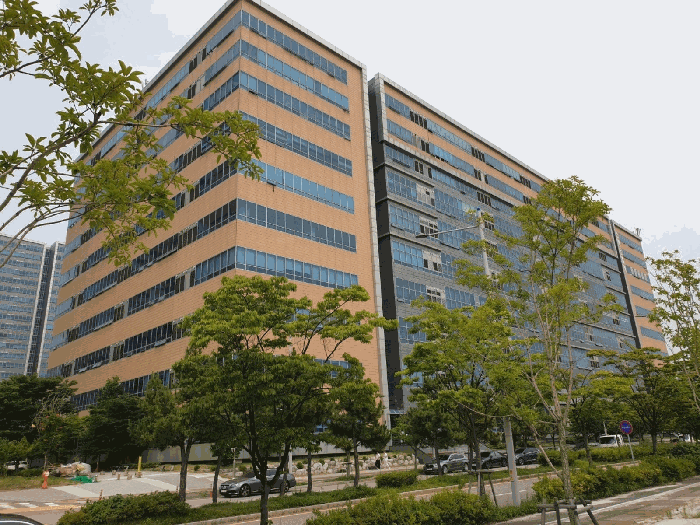 사진 11