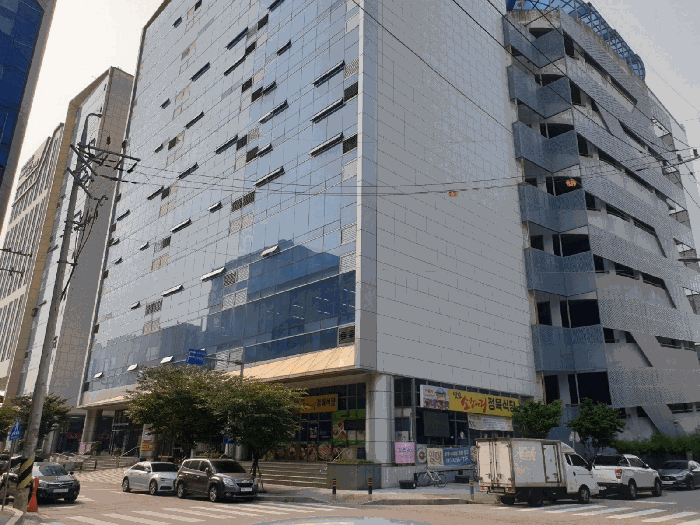 사진 12
