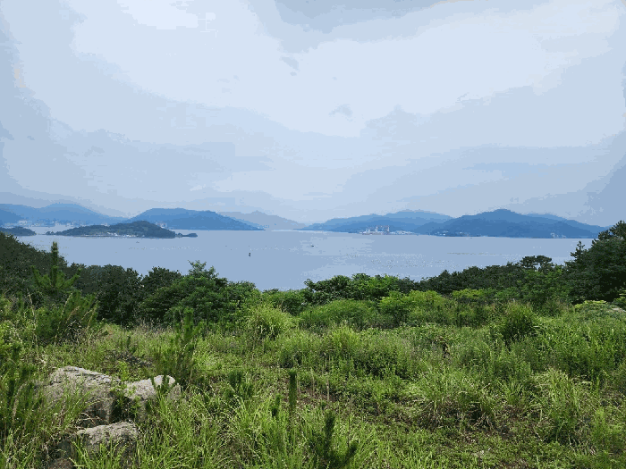 사진 2