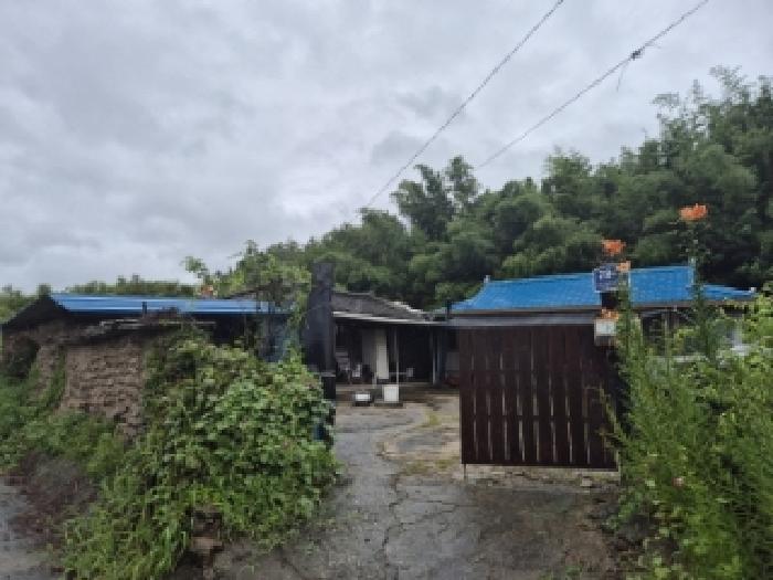 사진 2