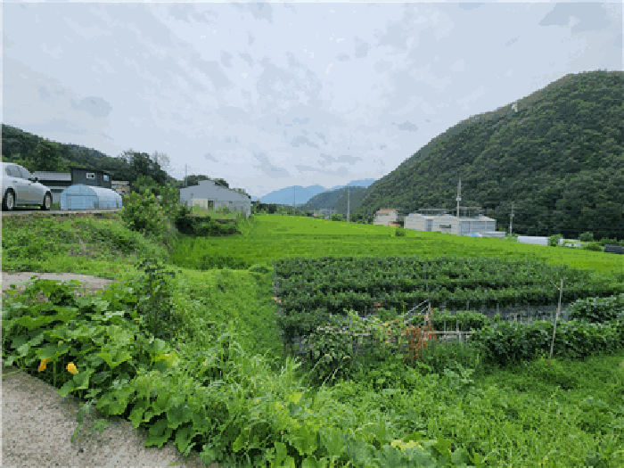 사진 13