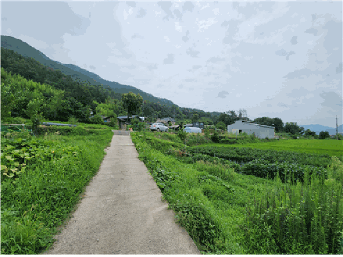 사진 14