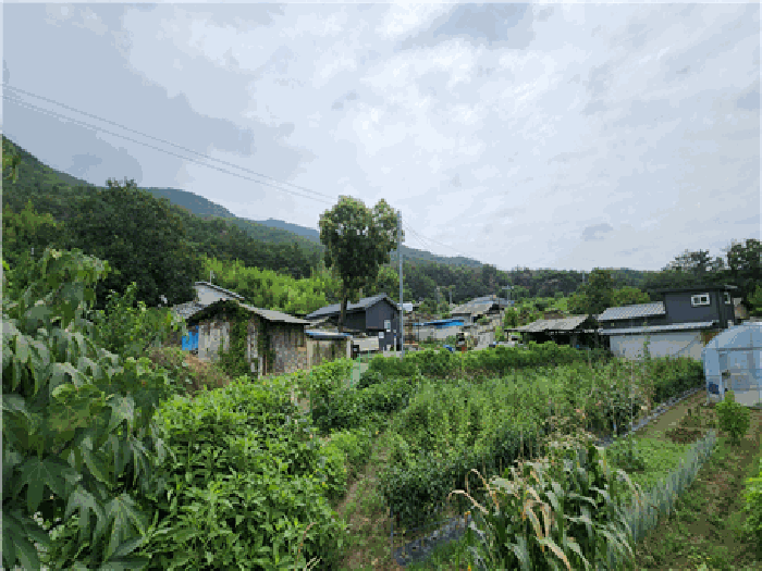 사진 7