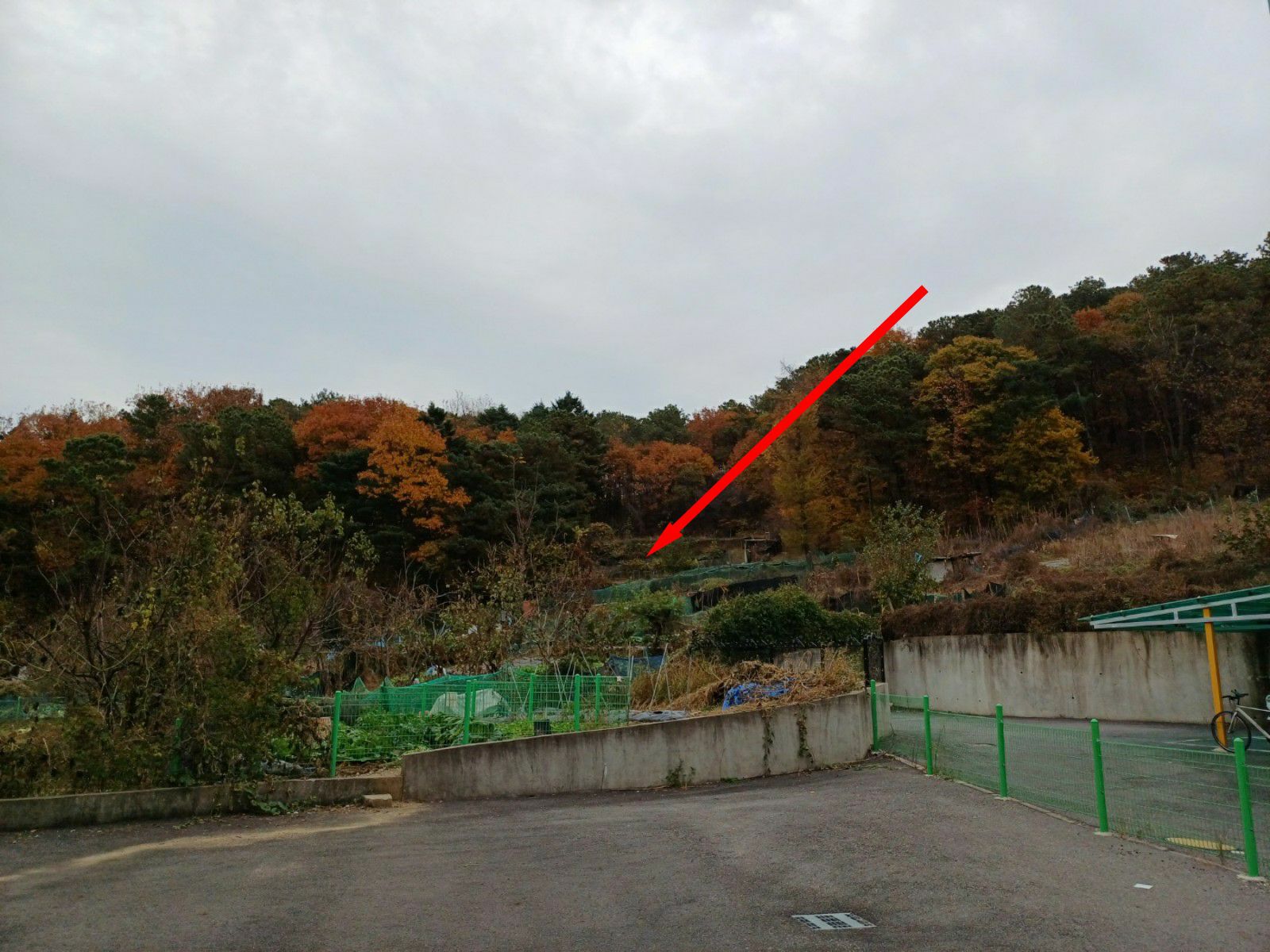 사진 1